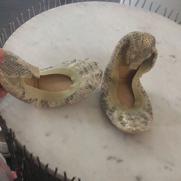 Yosi samra - Picture 2 of 5